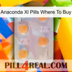 Anaconda Xl Pills Where To Buy 24